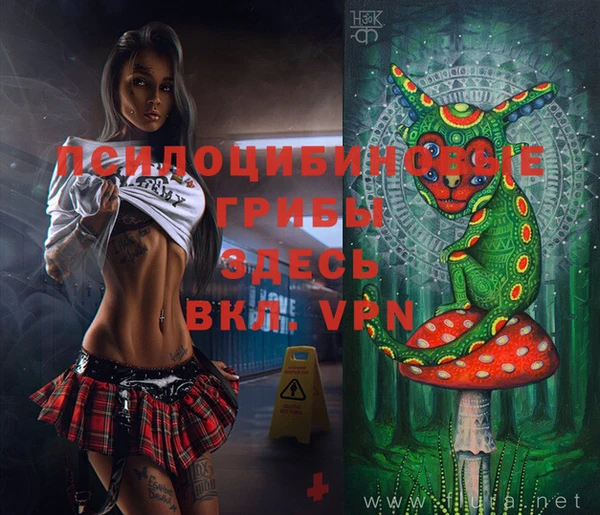 гидропоника Коряжма