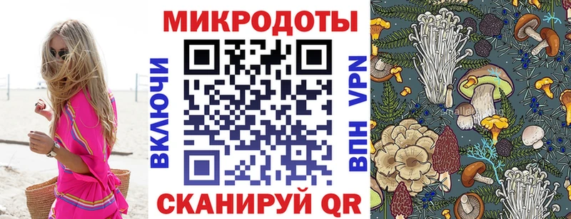 Купить закладки  Щёлково  Галлюциногенные грибы Magic Shrooms 